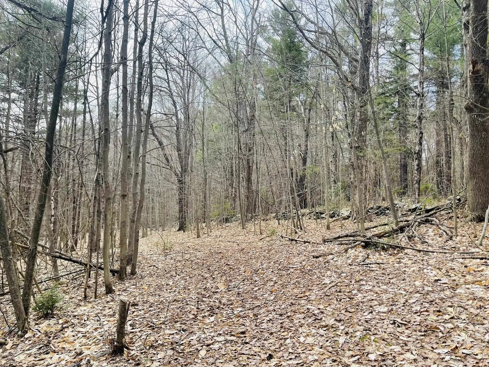 0 Lackey Hill Road Wardsboro VT 05355