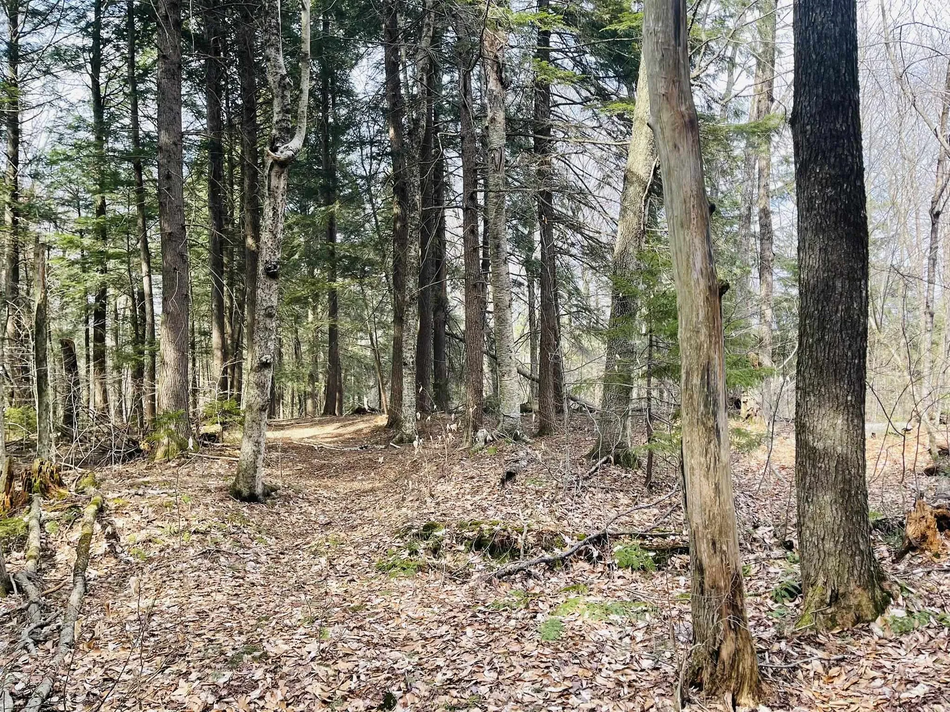 0 Lackey Hill Road Wardsboro VT 05355