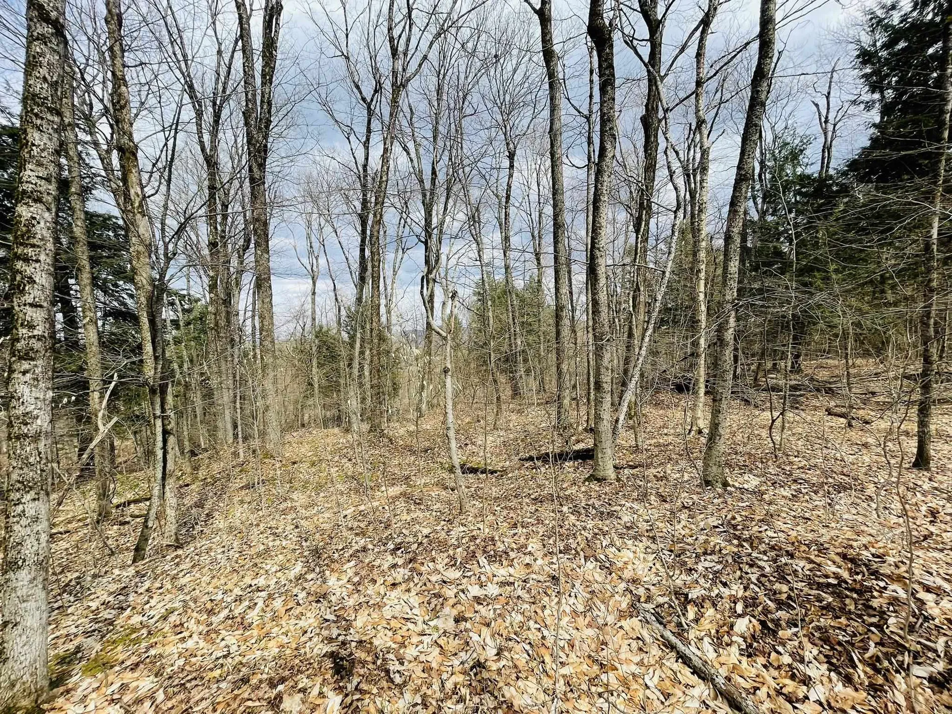 0 Lackey Hill Road Wardsboro VT 05355