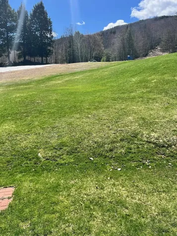 49 Tenney Brook Road Plymouth NH 03264