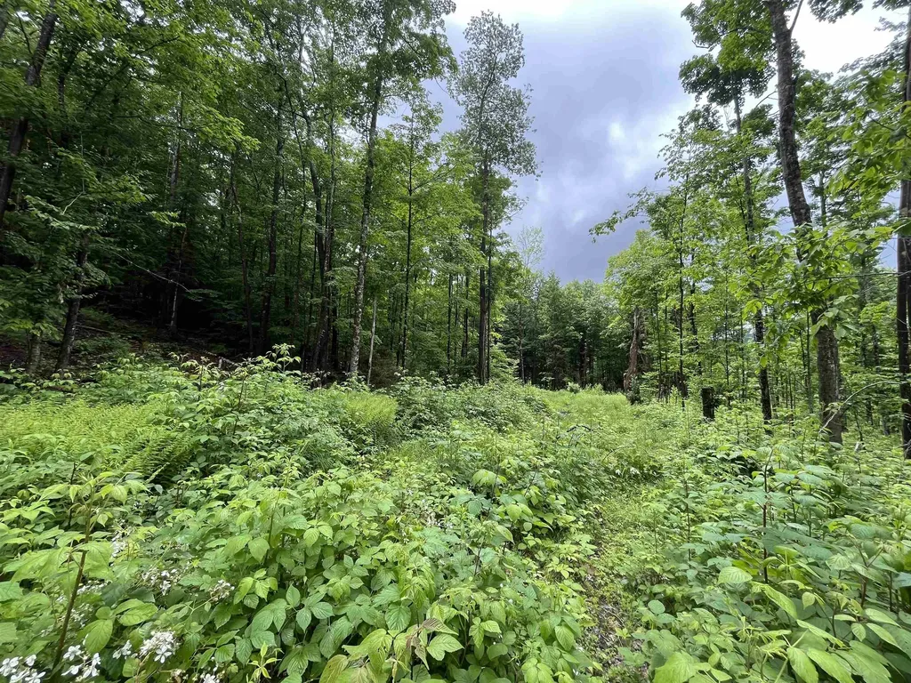 173 Horsenail Road Windham VT 05359