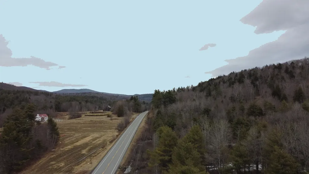 173 Horsenail Road Windham VT 05359