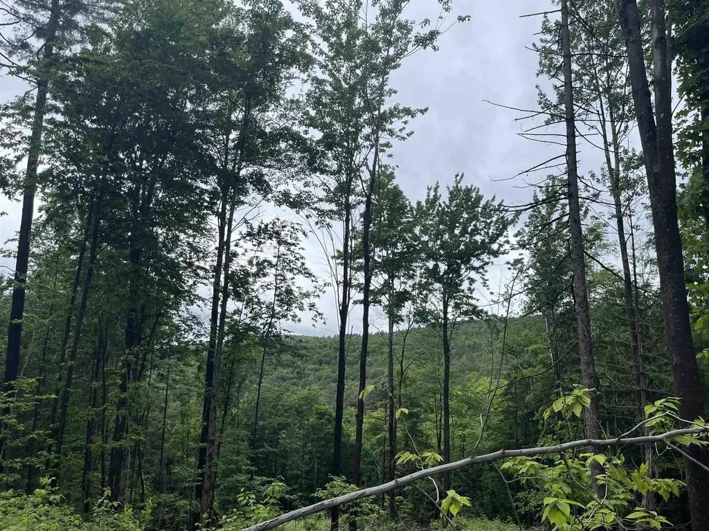 173 Horsenail Road Windham VT 05359