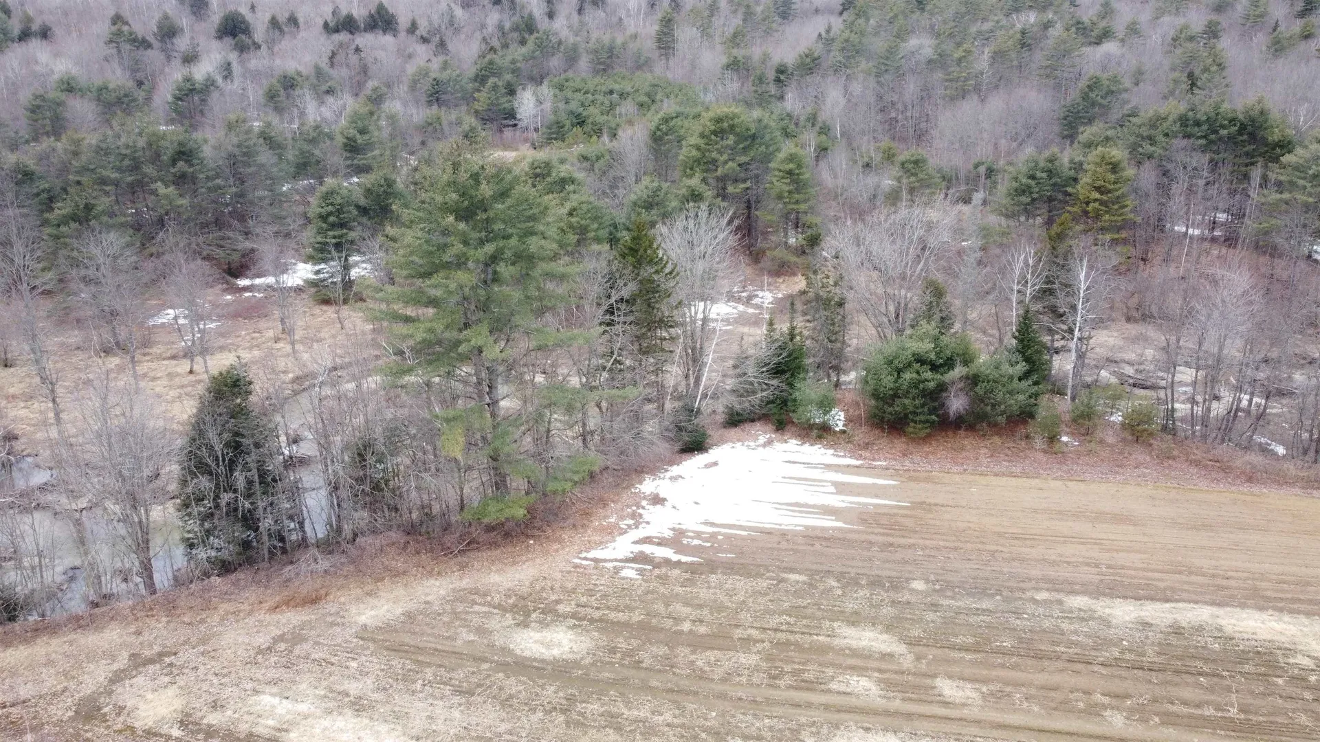 173 Horsenail Road Windham VT 05359