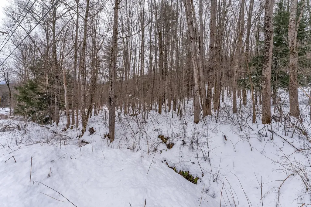 0 Cobb Hill Road Moretown VT 05660