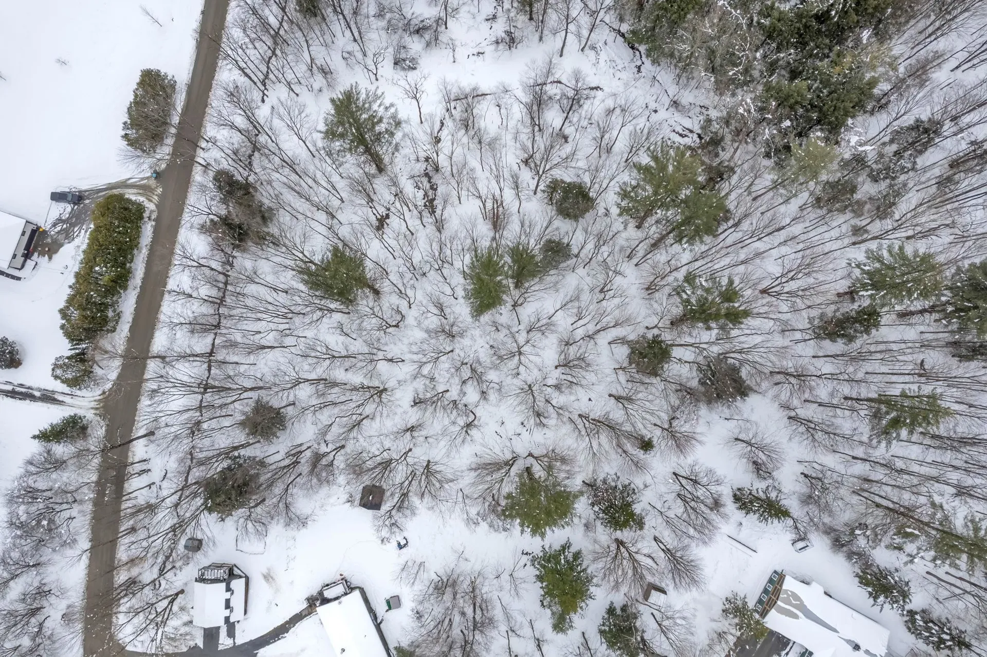 0 Cobb Hill Road Moretown VT 05660