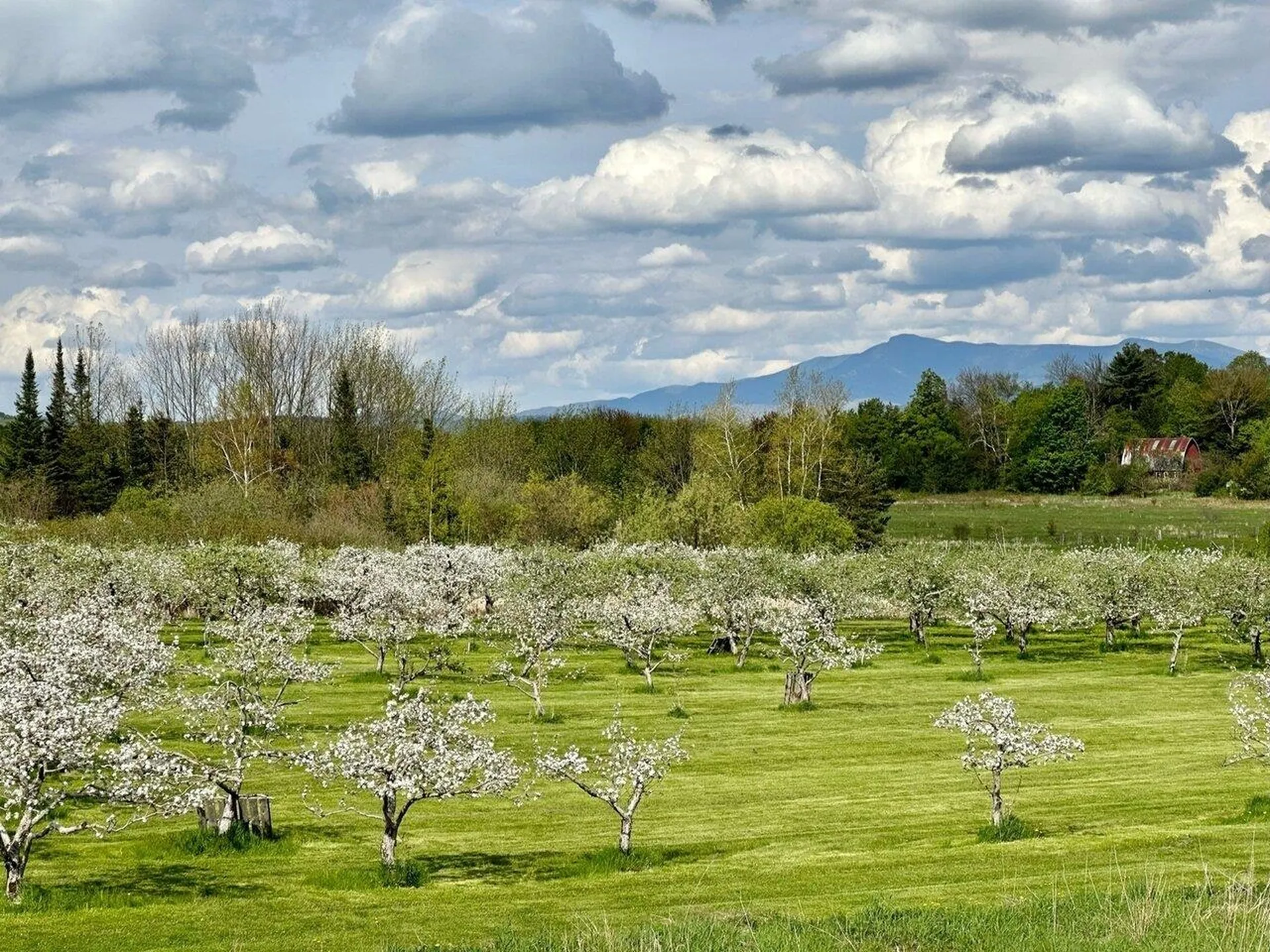 2255 Mountain View Road Williston VT 05495