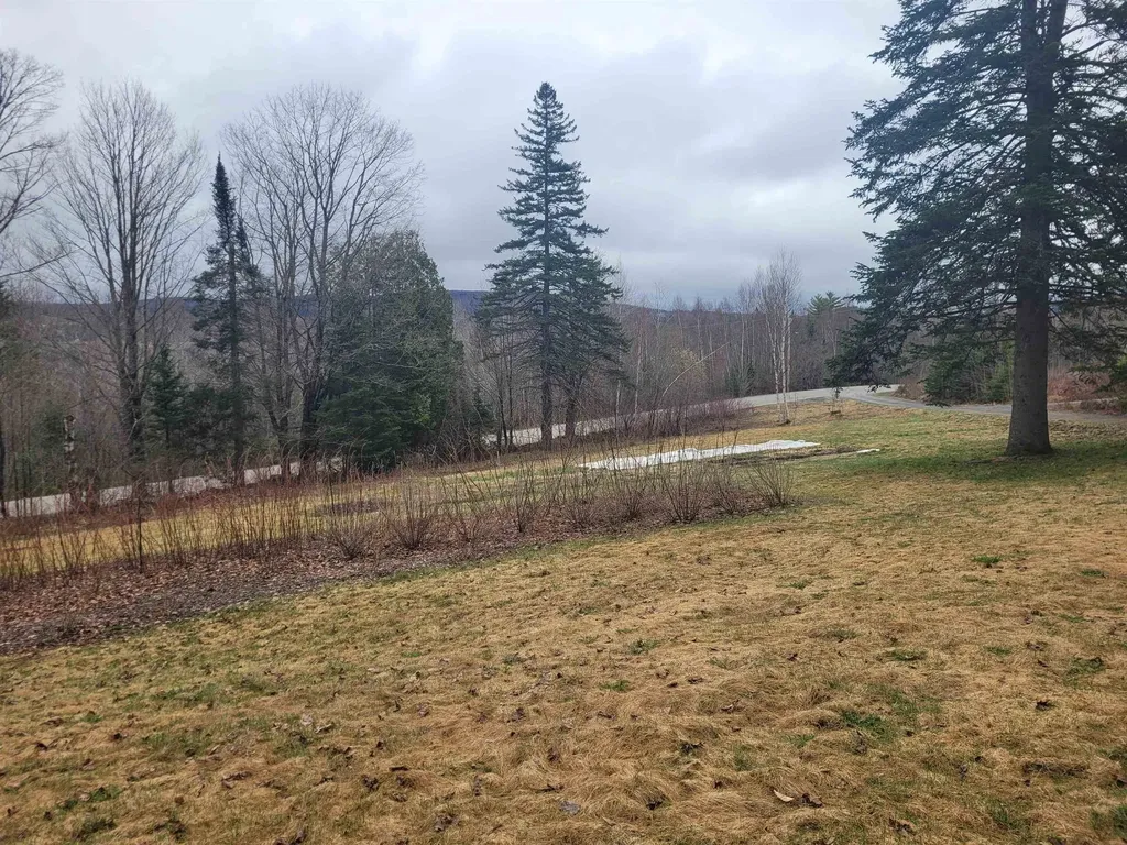 632 West Shore Road Cabot VT 05647-9799