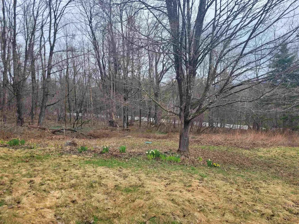 632 West Shore Road Cabot VT 05647-9799