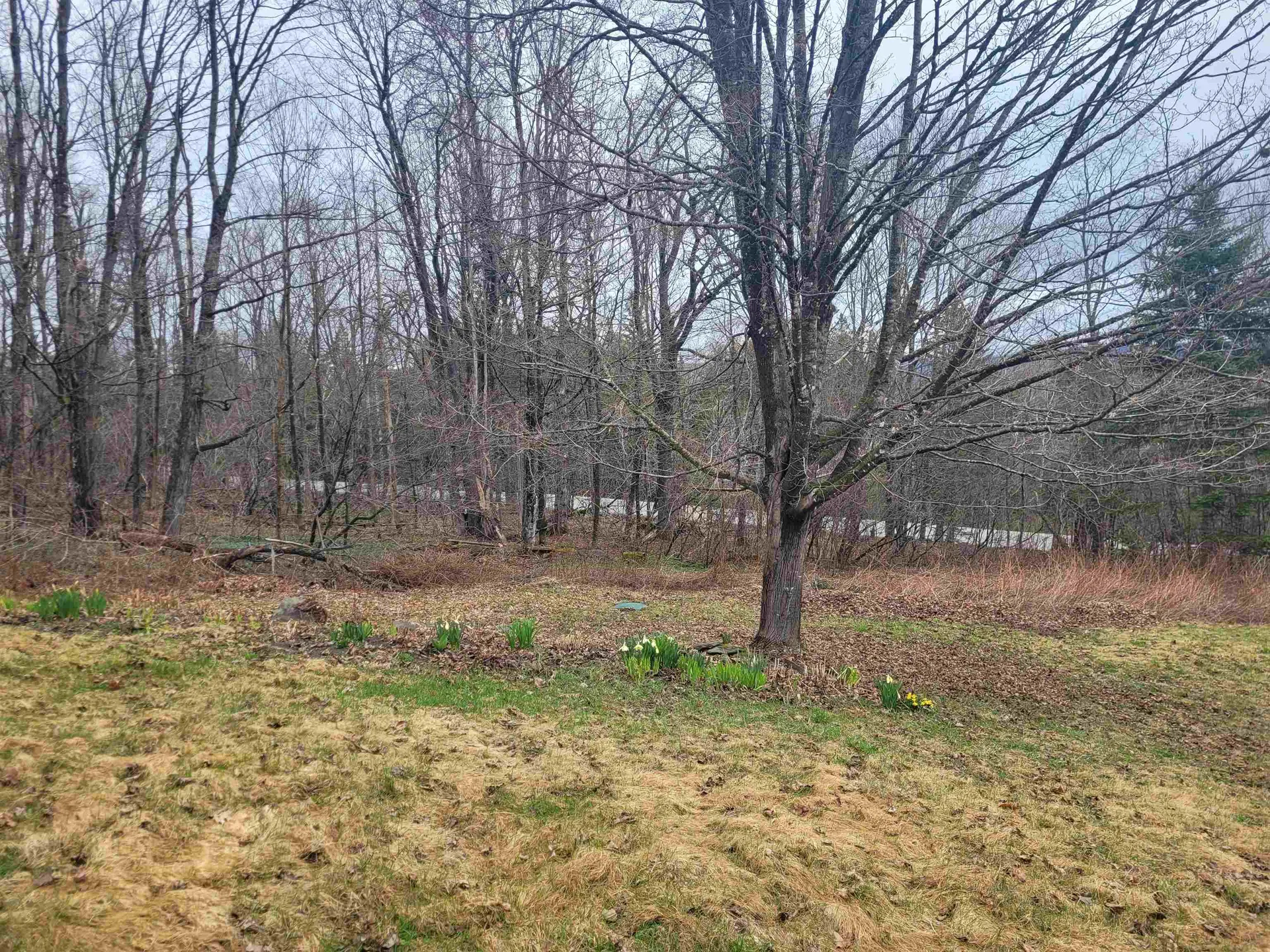632 West Shore Road Cabot VT 05647-9799