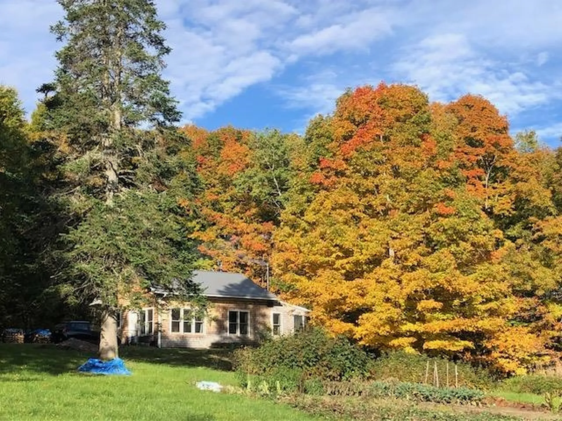 632 West Shore Road Cabot VT 05647-9799