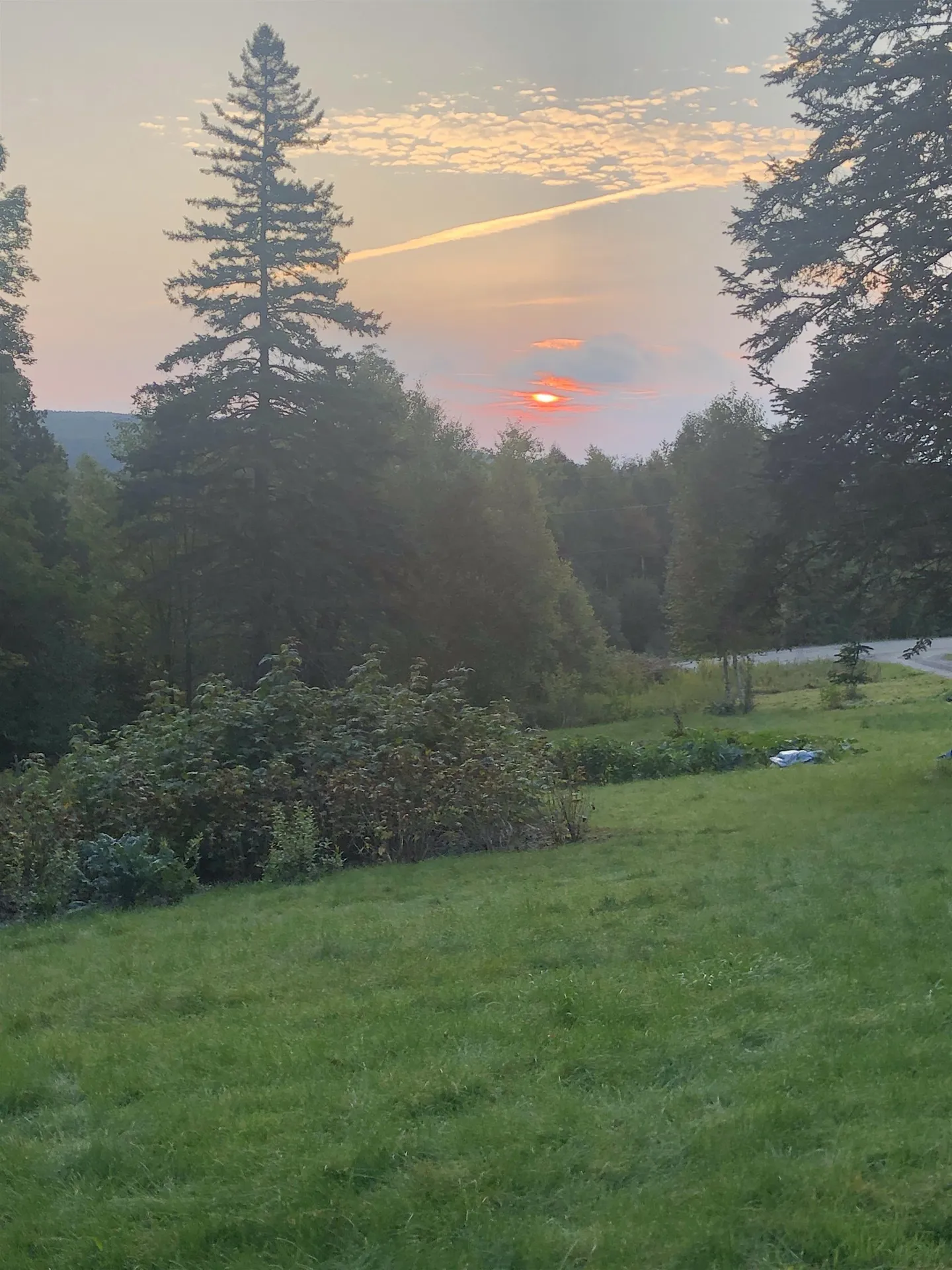 632 West Shore Road Cabot VT 05647-9799