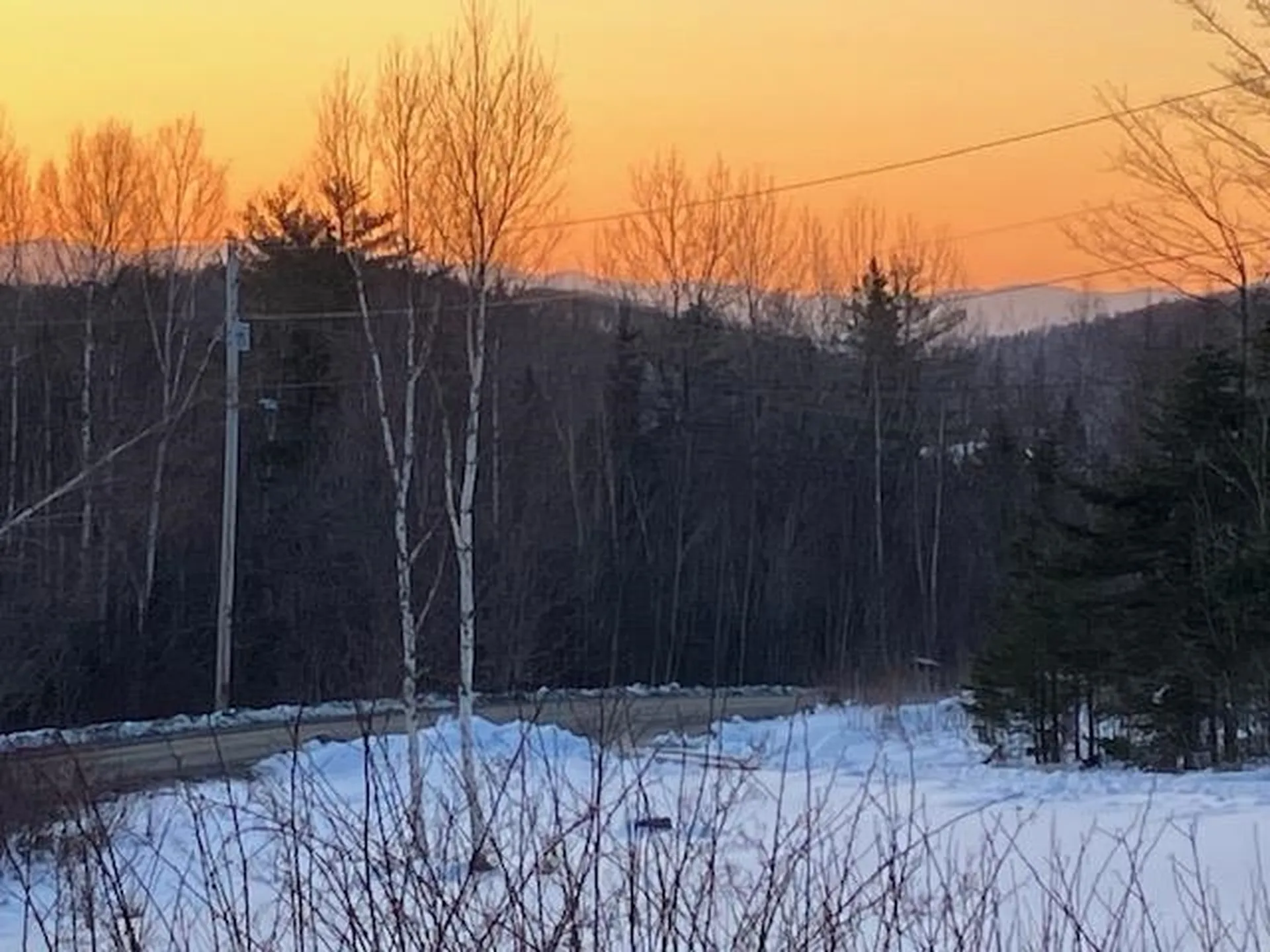 632 West Shore Road Cabot VT 05647-9799