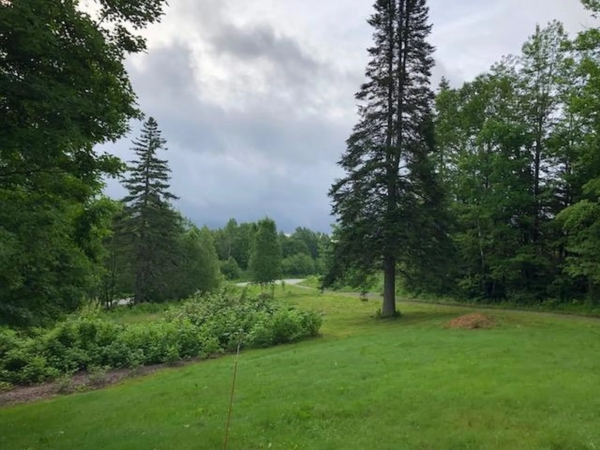632 West Shore Road Cabot VT 05647-9799