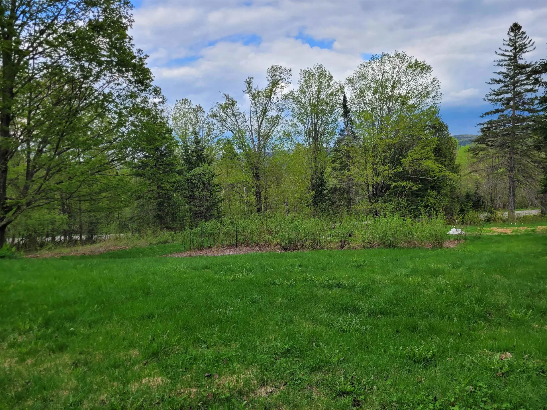 632 West Shore Road Cabot VT 05647-9799