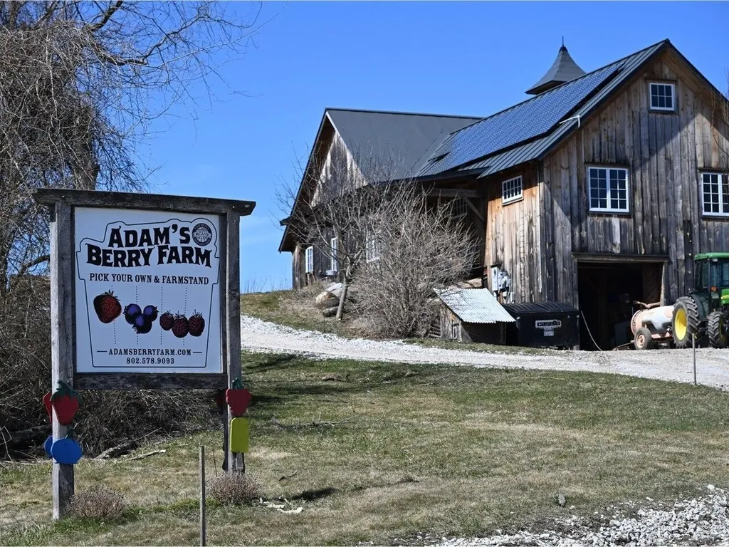 656 Bingham Brook Road Charlotte VT 05445