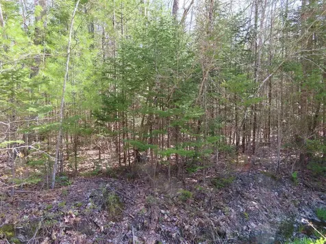 Lot 446 North Shore Drive Barnstead NH 03225
