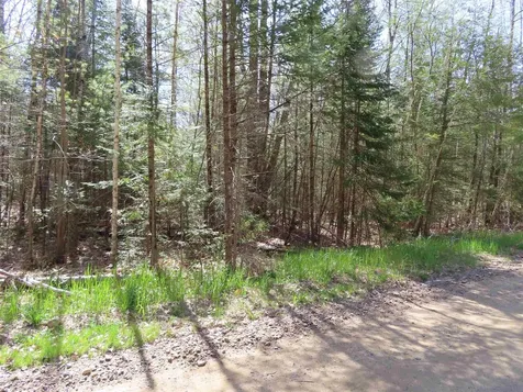 Lot 446 North Shore Drive Barnstead NH 03225