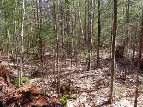 Lot 446 North Shore Drive Barnstead NH 03225