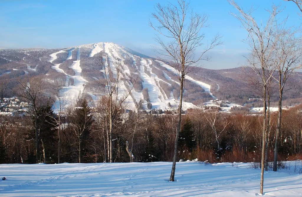 305 Qtr. 3 89 Grand Summit Way Dover VT 05356