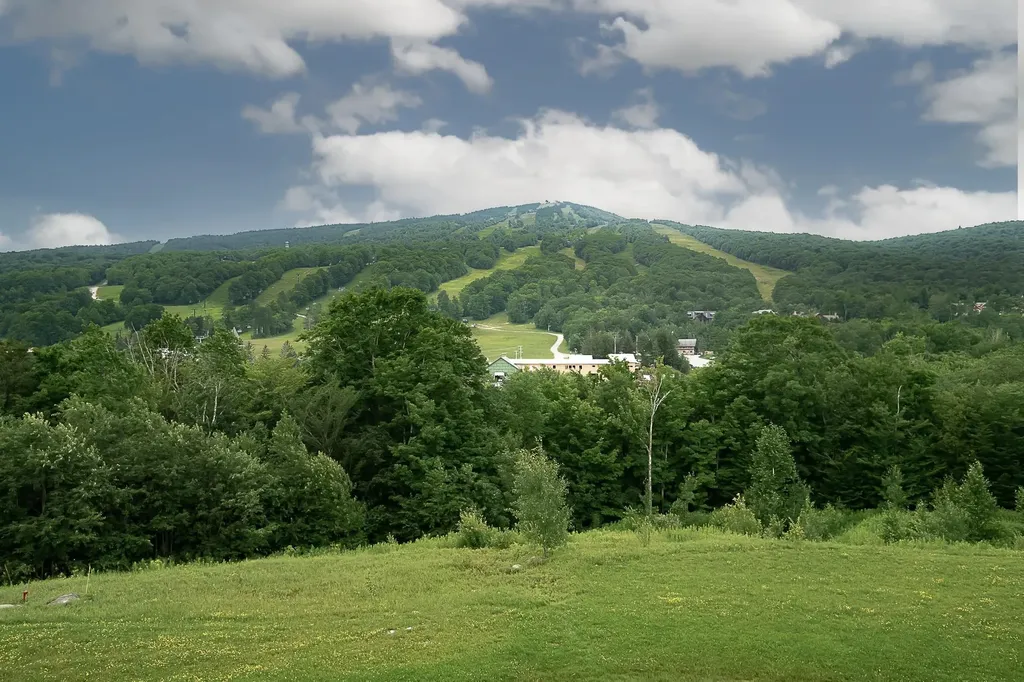 305 Qtr. 3 89 Grand Summit Way Dover VT 05356