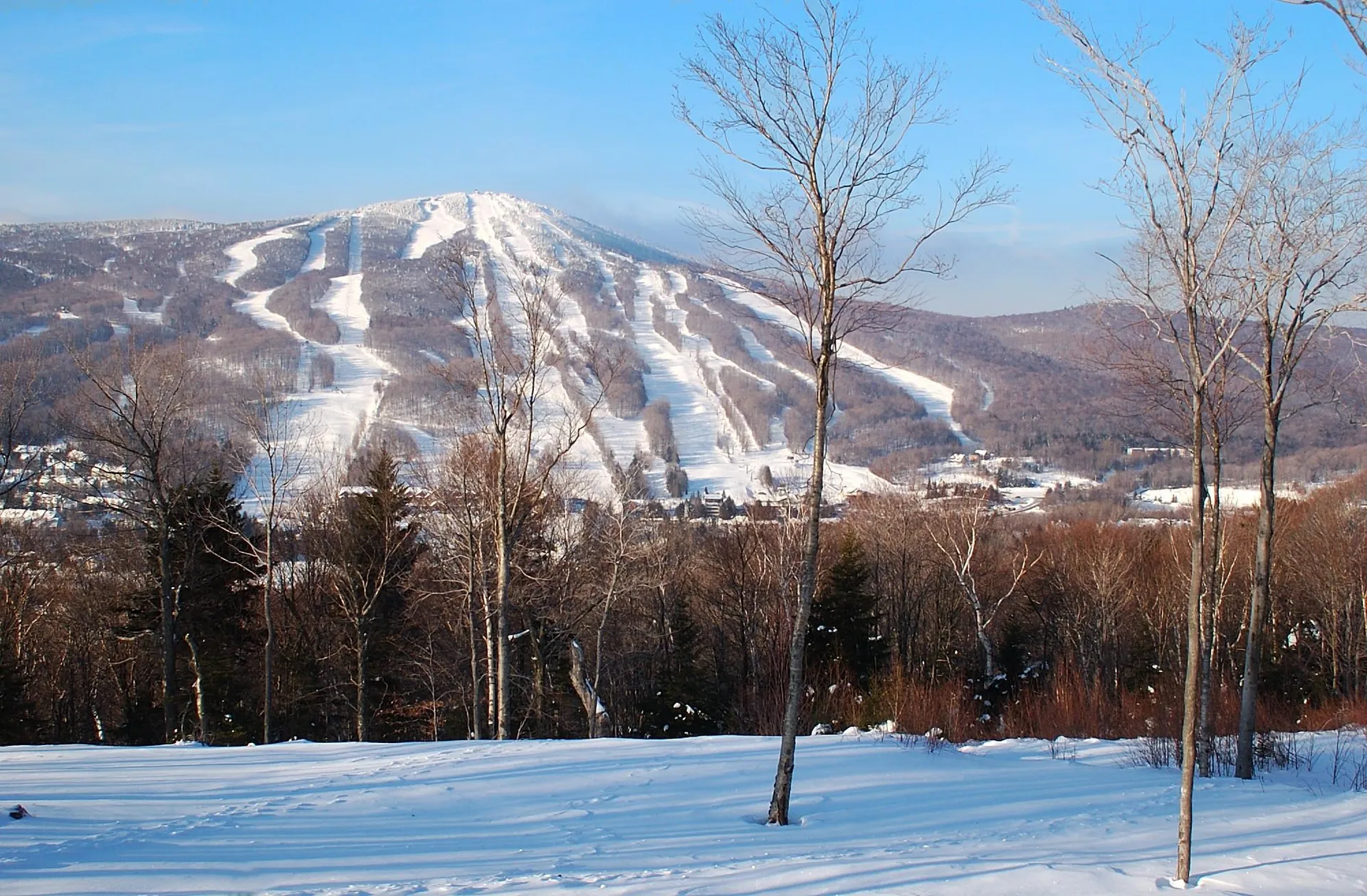 305 Qtr. 3 89 Grand Summit Way Dover VT 05356