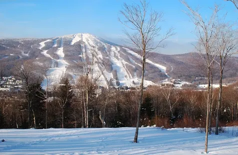 305 Qtr. 3 89 Grand Summit Way Dover VT 05356