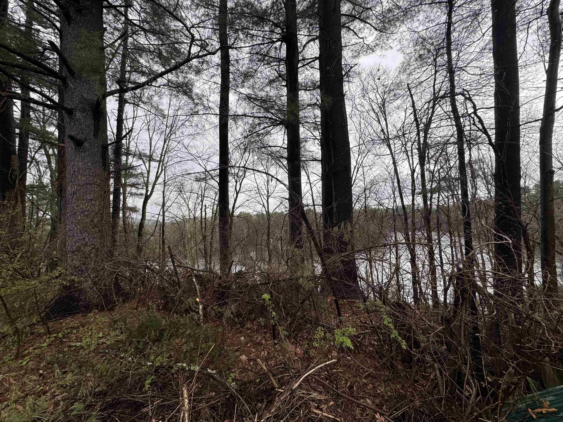 6 Old Boyce Road Canterbury NH 03224