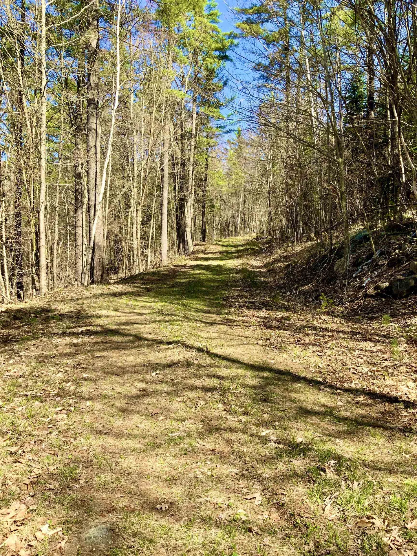 604 Cash Street Croydon NH 03773