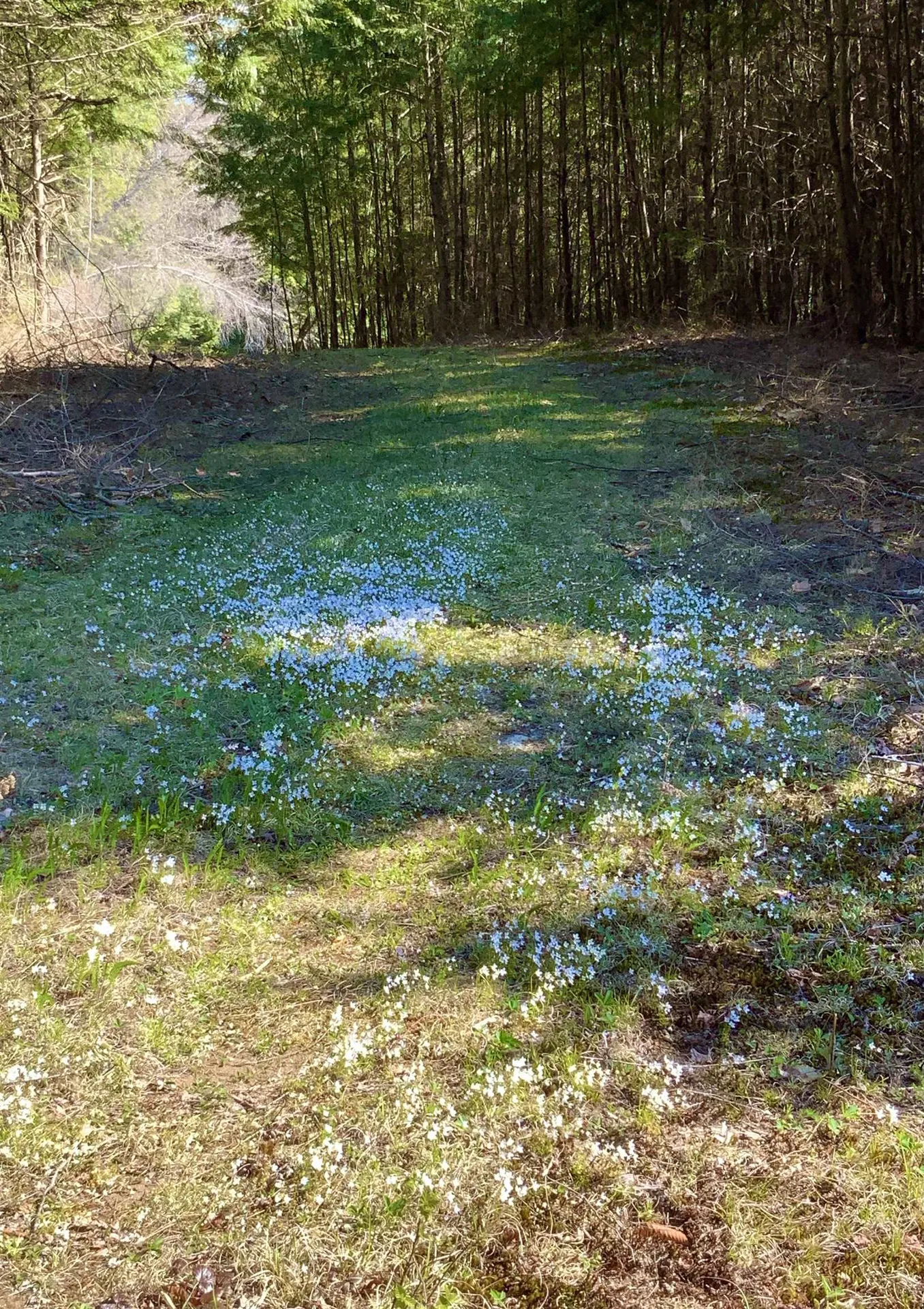 604 Cash Street Croydon NH 03773