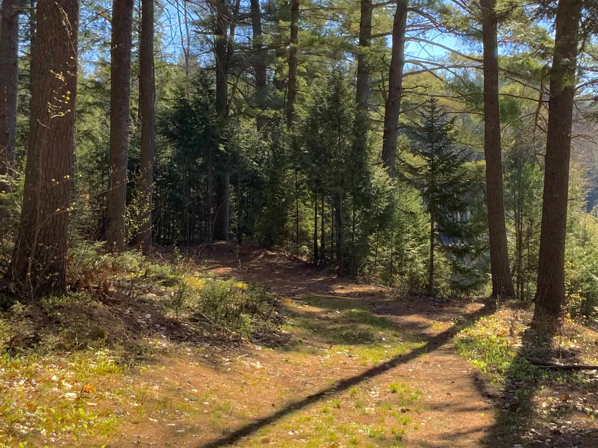 604 Cash Street Croydon NH 03773