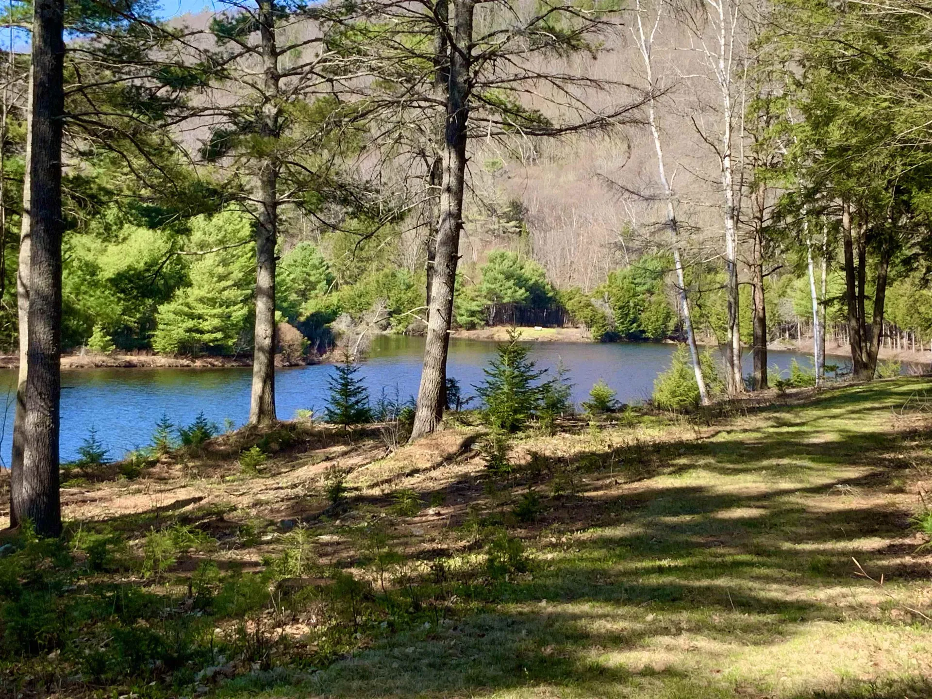 604 Cash Street Croydon NH 03773