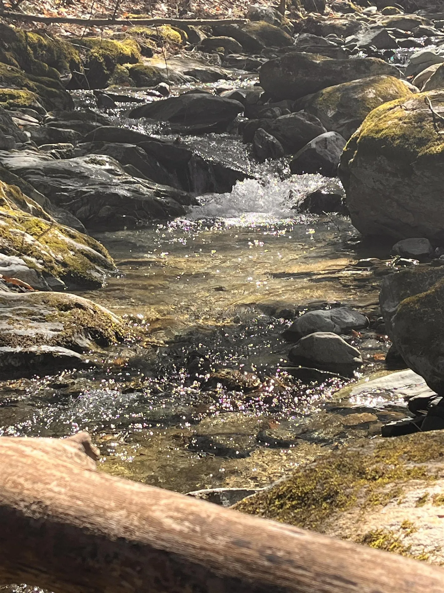 1407 Moretown Mountain Road Moretown VT 05660