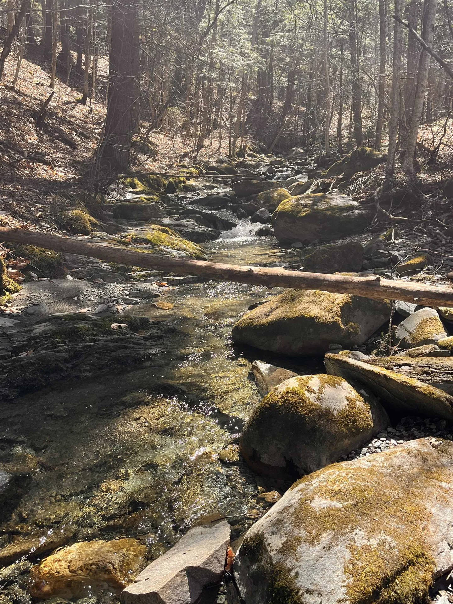 1407 Moretown Mountain Road Moretown VT 05660