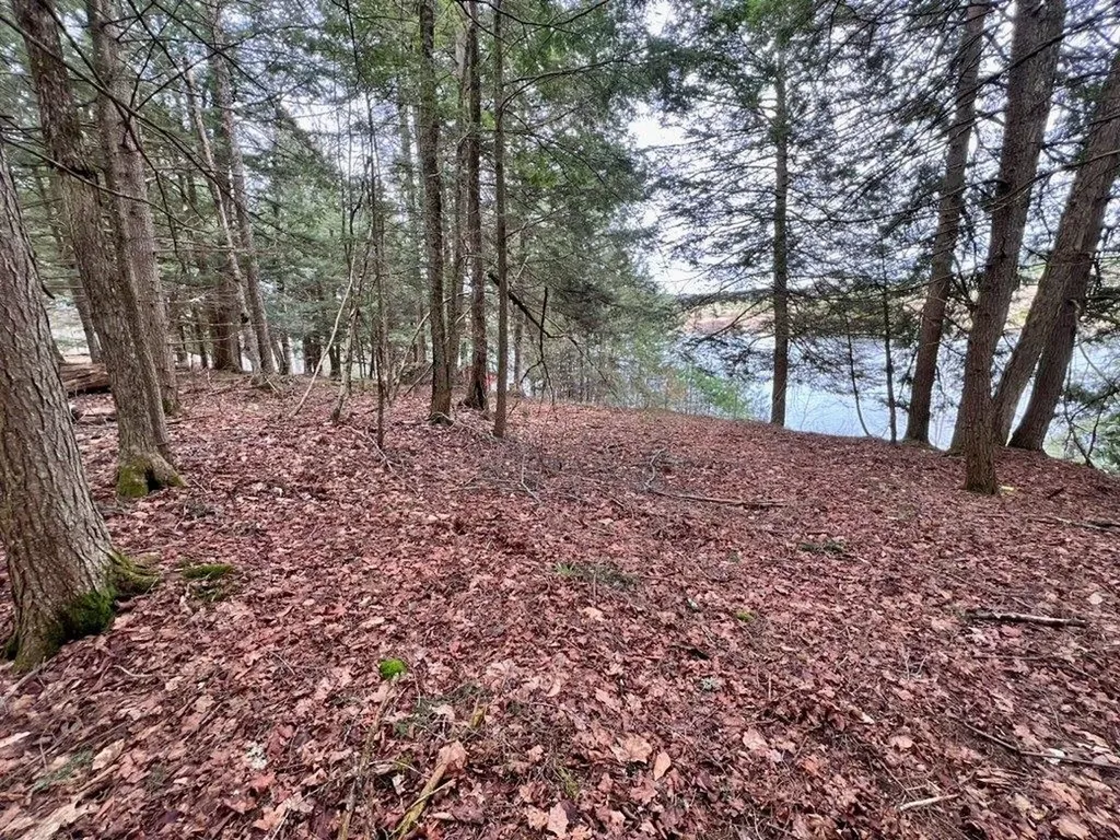 0 Ticklenaked Pond Road Ryegate VT 05042