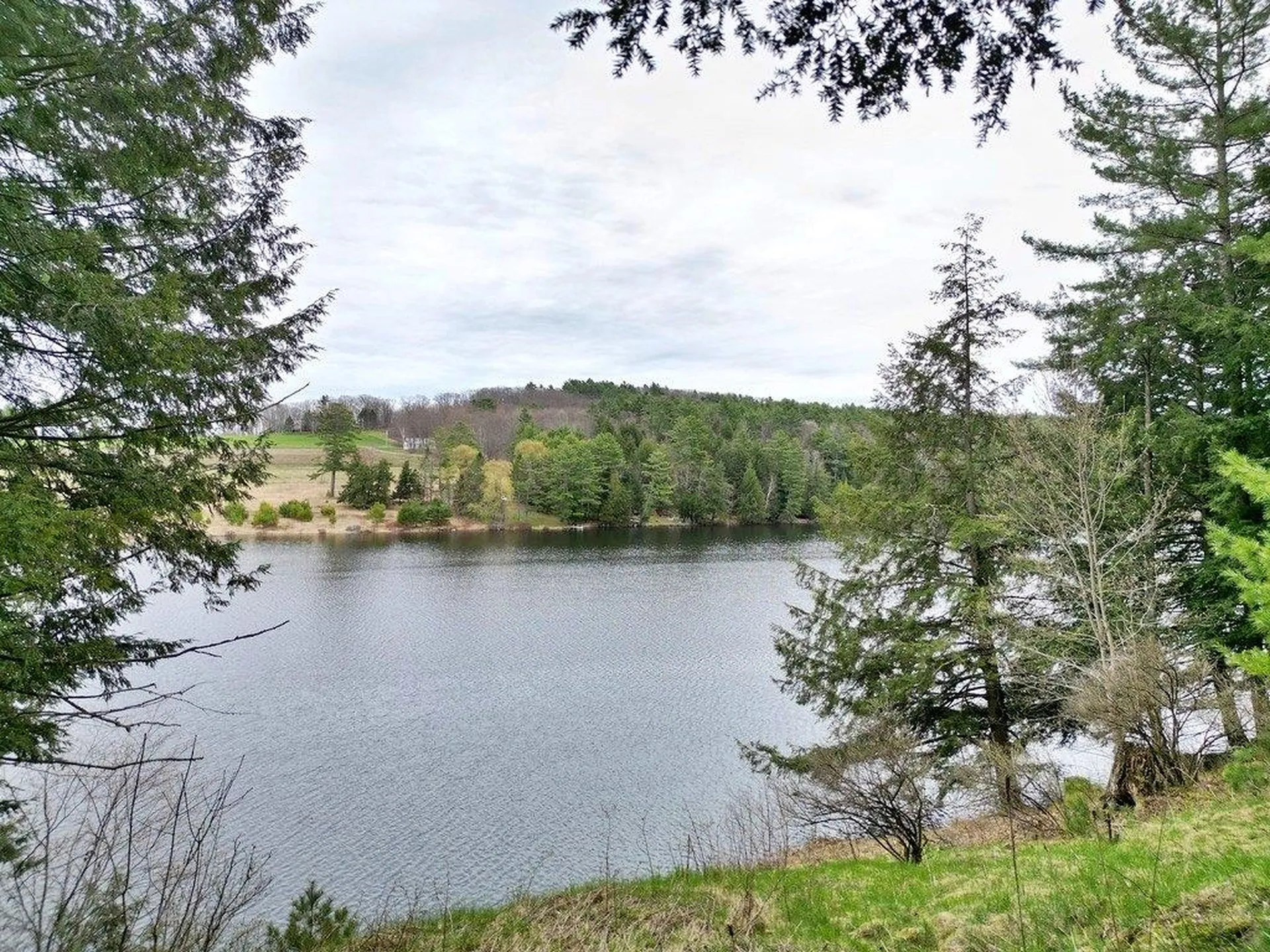 0 Ticklenaked Pond Road Ryegate VT 05042