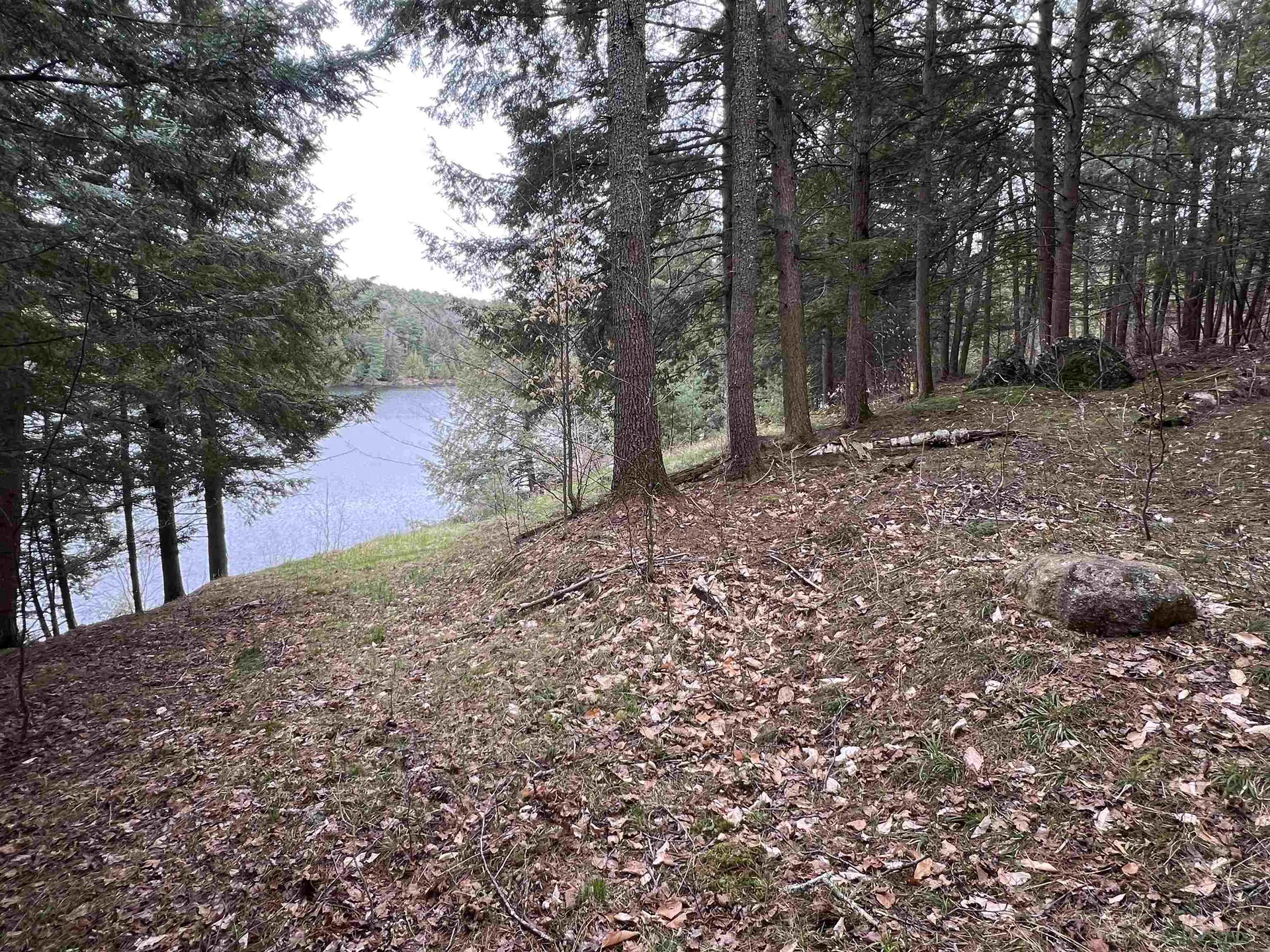 0 Ticklenaked Pond Road Ryegate VT 05042