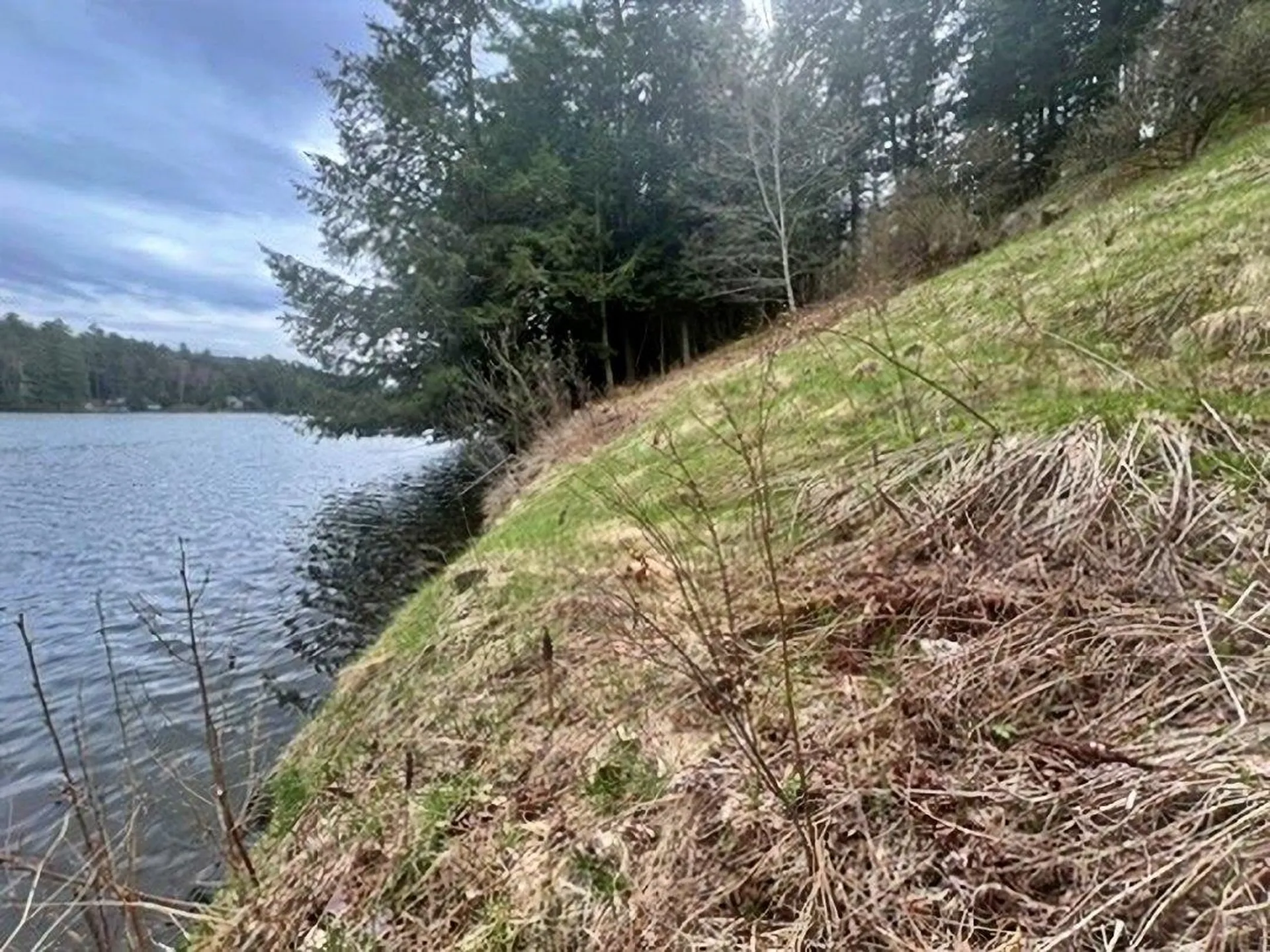 0 Ticklenaked Pond Road Ryegate VT 05042
