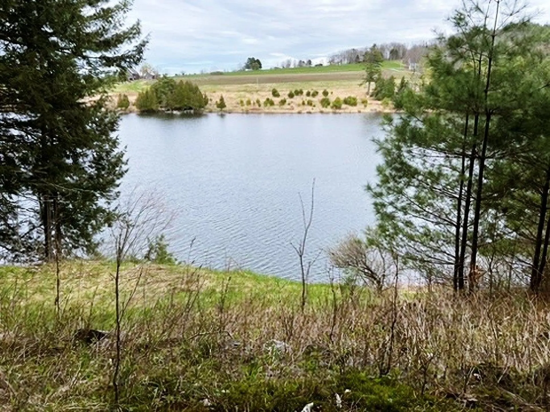 0 Ticklenaked Pond Road Ryegate VT 05042