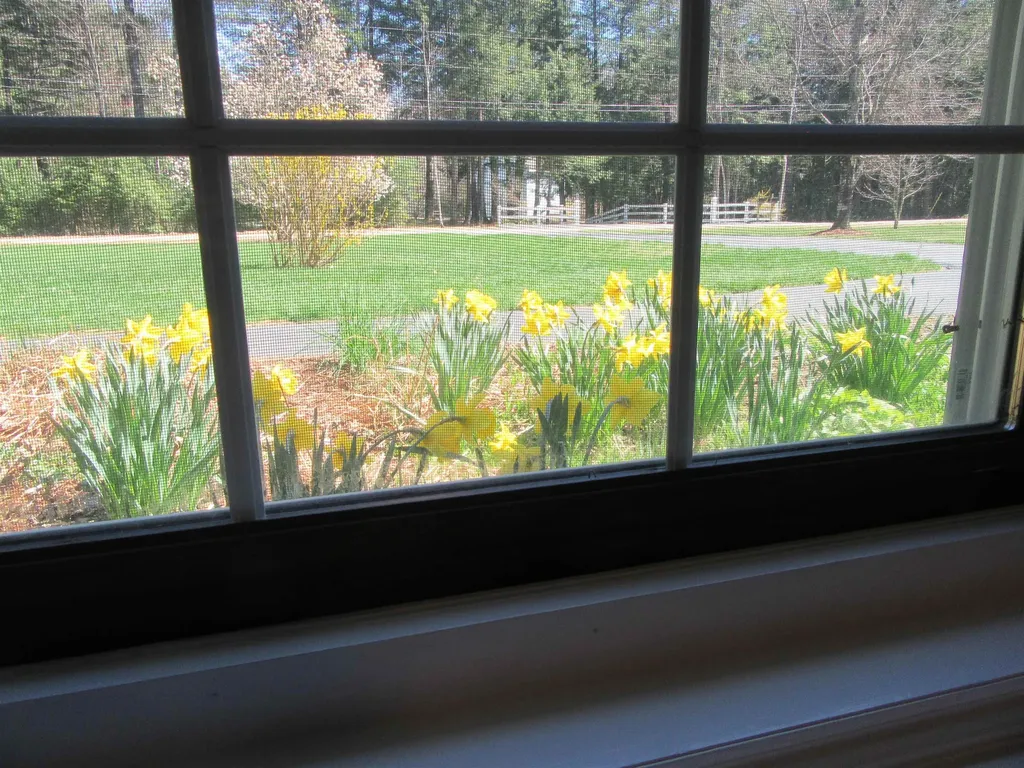 17 Nighthawk Hollow Drive Gilmanton NH 03837