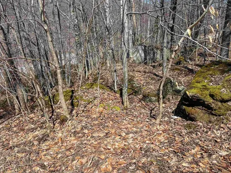 00 Upper Round Top Road Extension Plymouth VT 05035