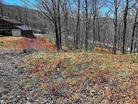 00 Upper Round Top Road Extension Plymouth VT 05035