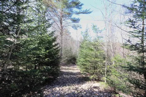 1252 Remick Road Waterford VT 05819