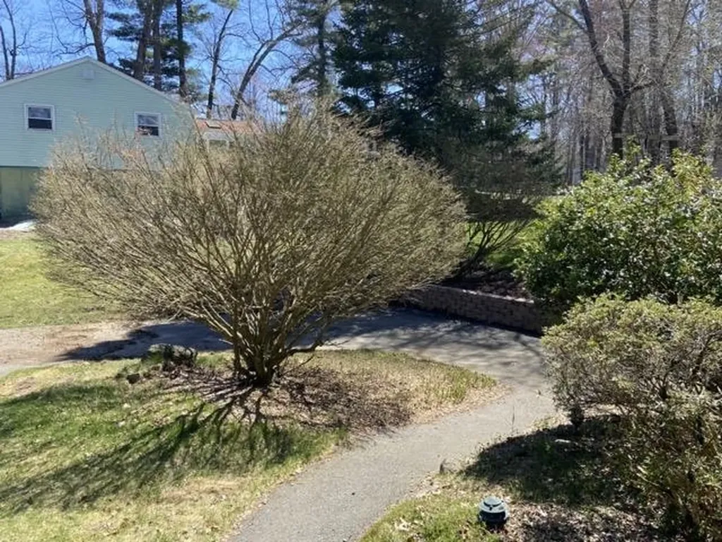 11 Bedard Avenue Derry NH 03038