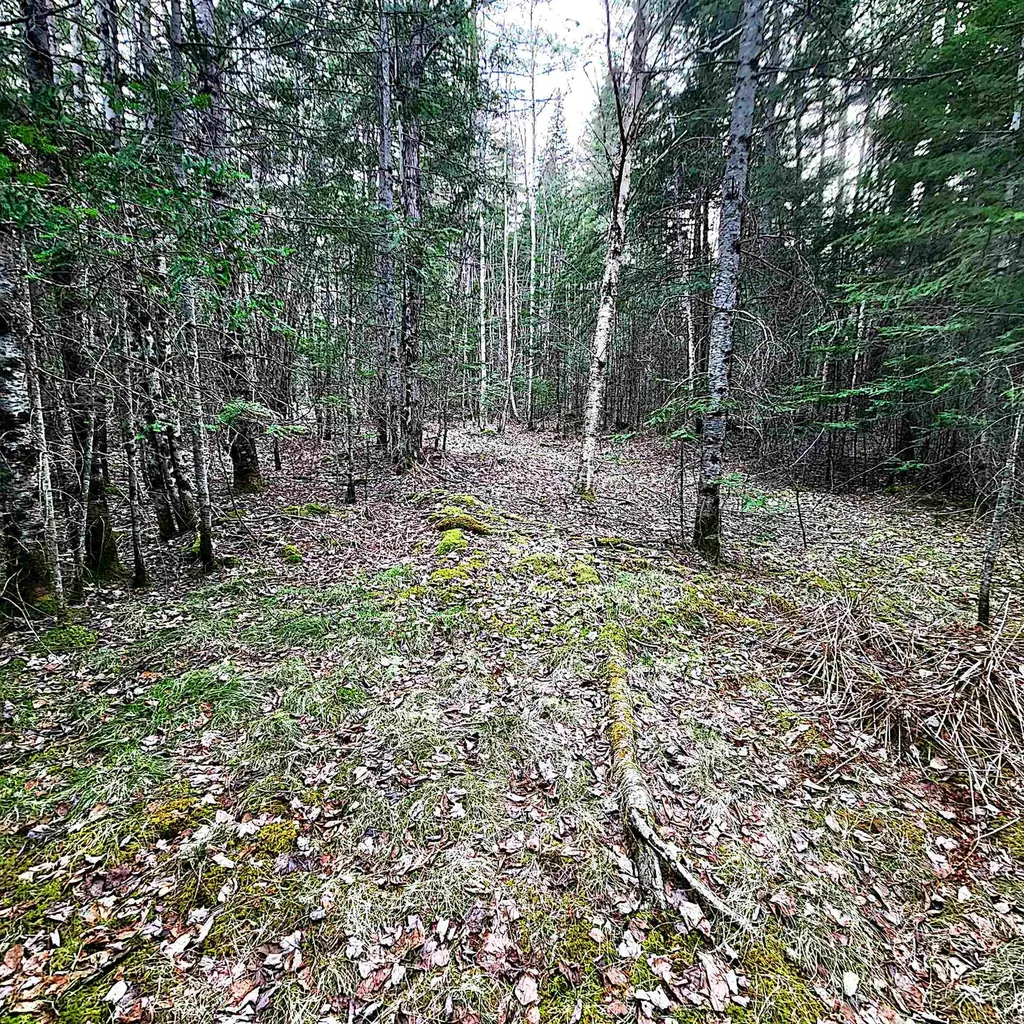 0 Scenic Ridge Road Whitefield NH 03598