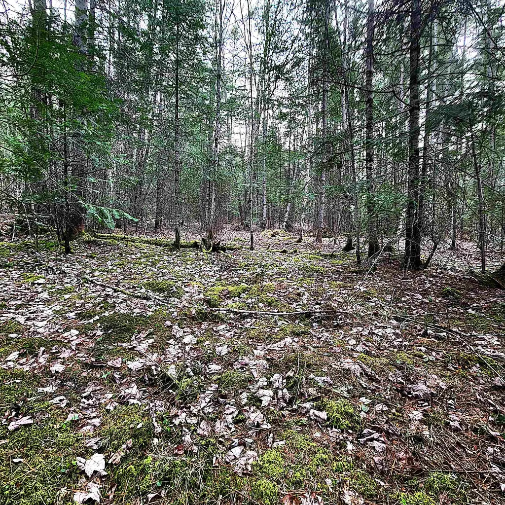 0 Scenic Ridge Road Whitefield NH 03598