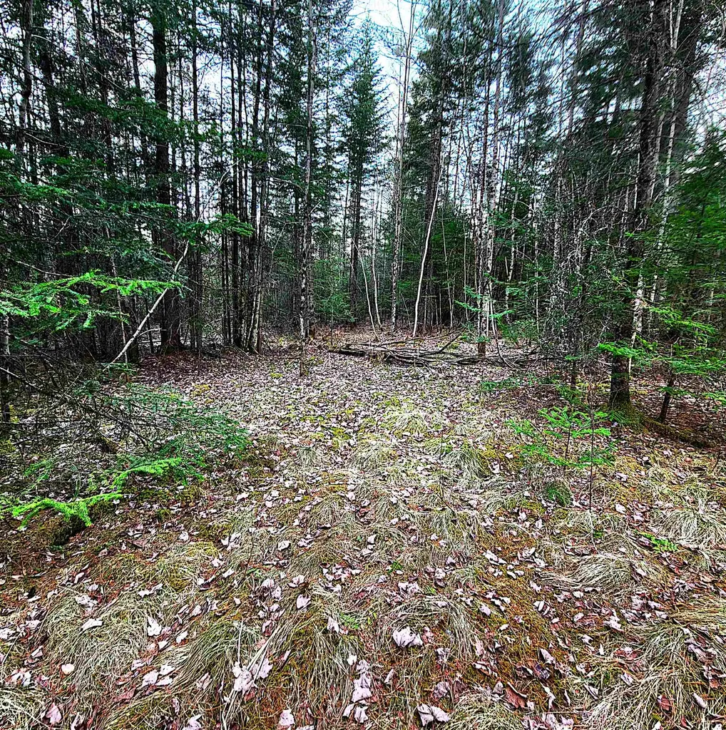 0 Scenic Ridge Road Whitefield NH 03598