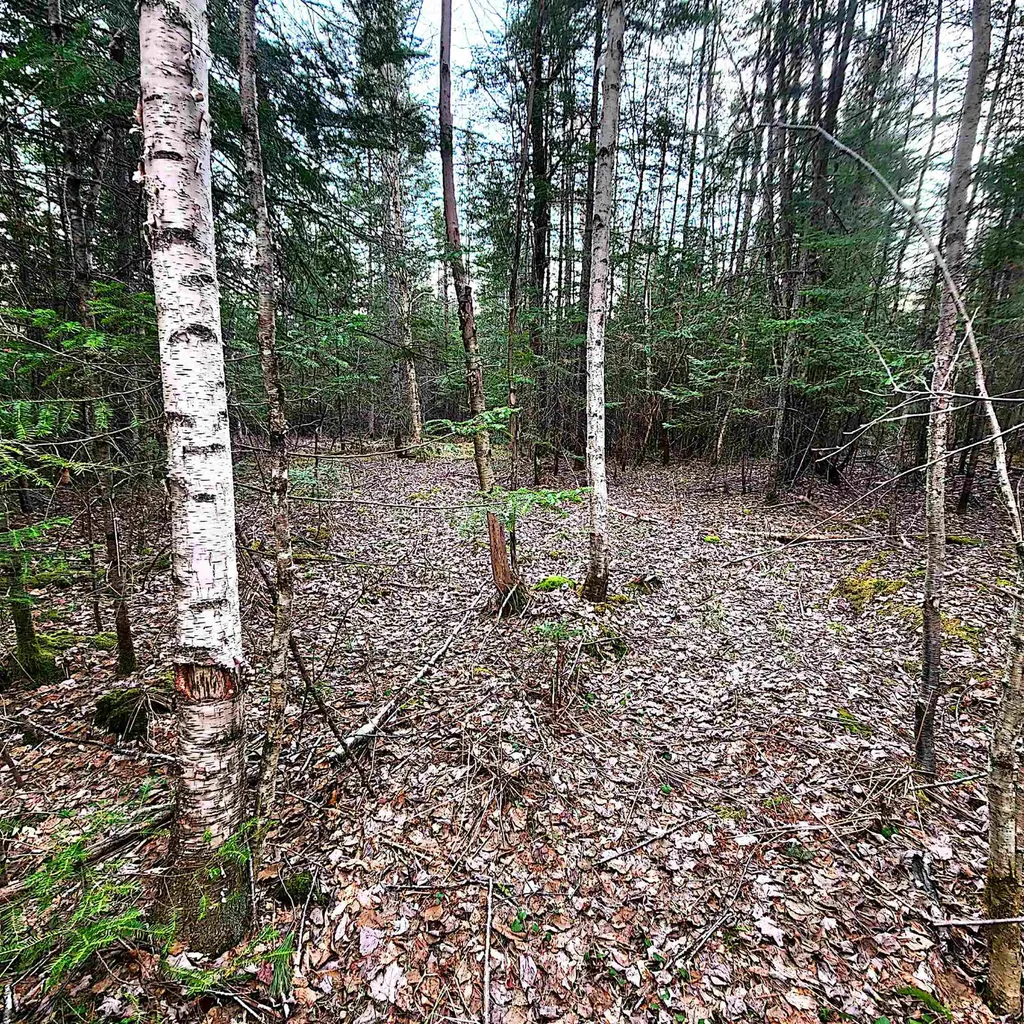 0 Scenic Ridge Road Whitefield NH 03598