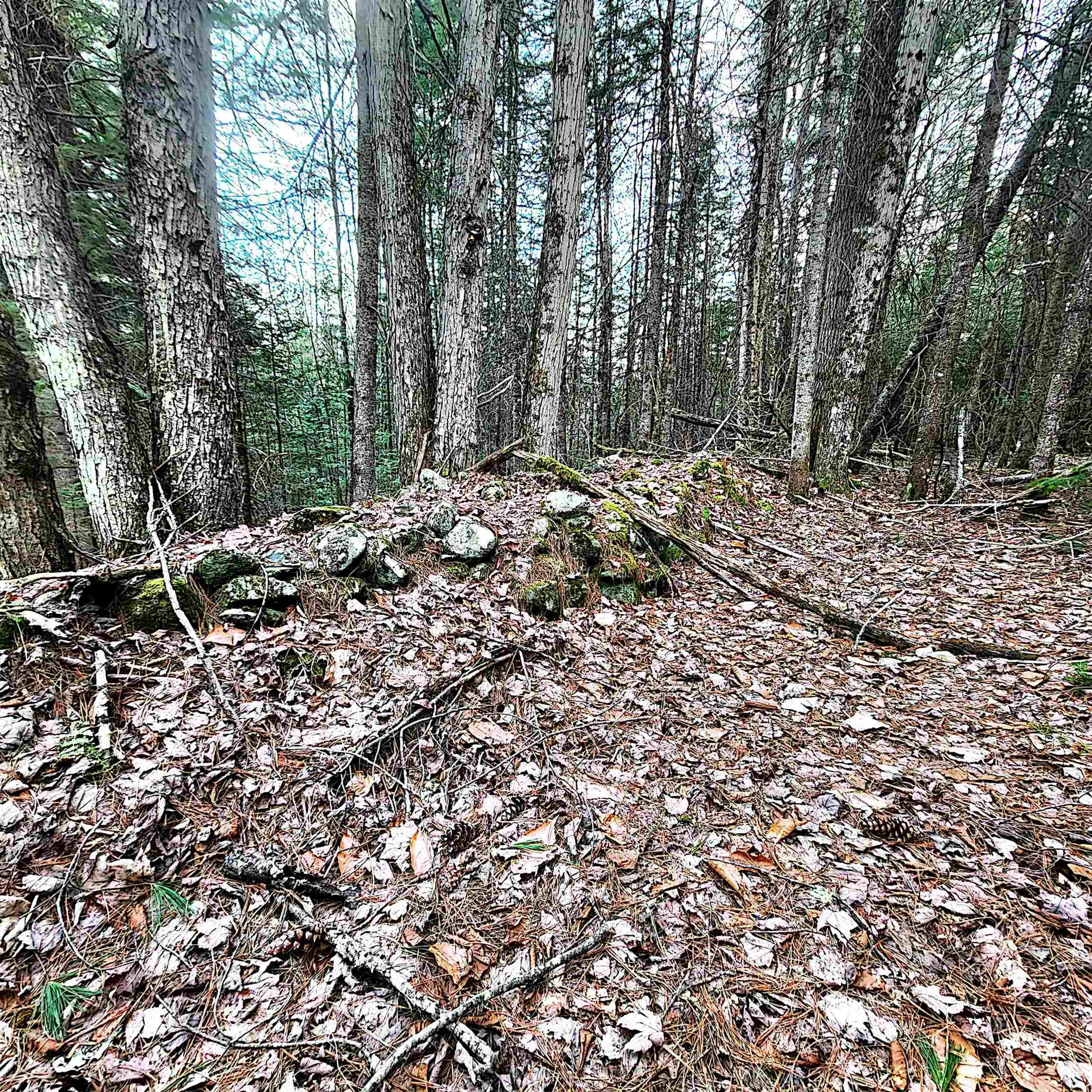 0 Scenic Ridge Road Whitefield NH 03598