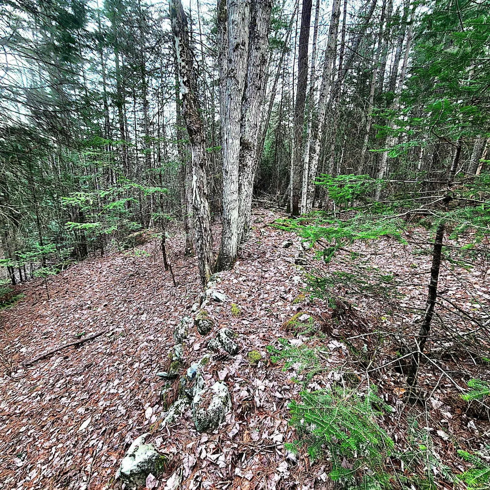 0 Scenic Ridge Road Whitefield NH 03598